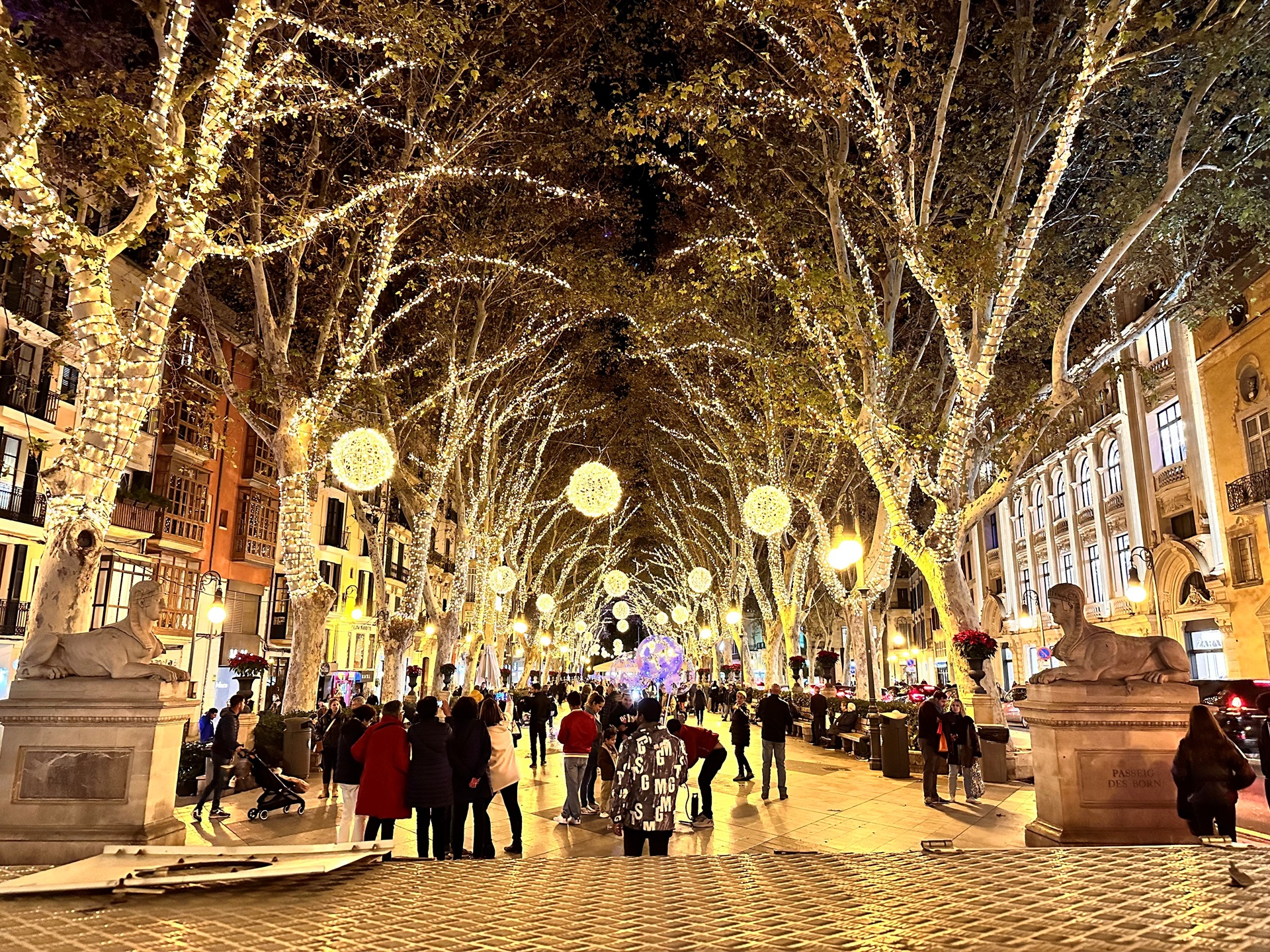 Navidad-PaseoBorne-Palma